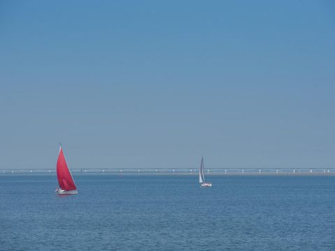 Waterresort Oosterschelde - Camping Kapelle - Image N°4