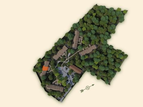 Woodz Lodges  - Camping Belgisch Limburg - Afbeelding N°5