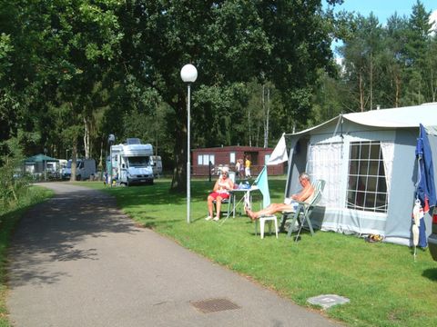 Camping Zavelbos - Camping Limburg Belge