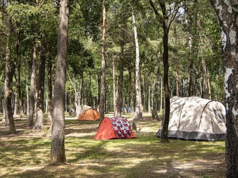 Camping de Binnenvaart - Camping Limburg Belge - Image N°8