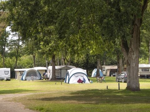 Camping de Binnenvaart - Camping Limburg Belge - Image N°10