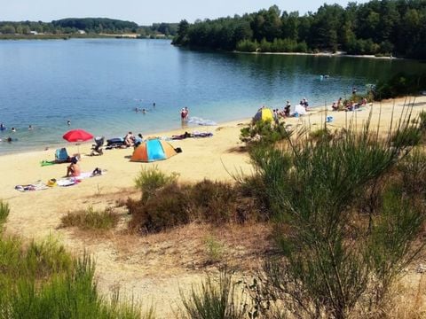 Camping de Binnenvaart - Camping Limburg Belge - Image N°17