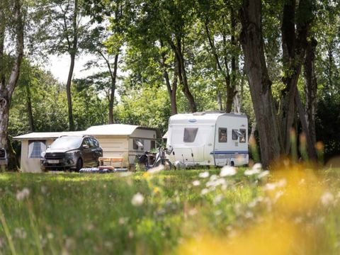 Camping de Binnenvaart - Camping Limburg Belge - Image N°6