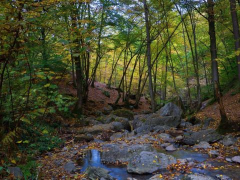 Arden Parks Petite Suisse - Camping Liège - Image N°37