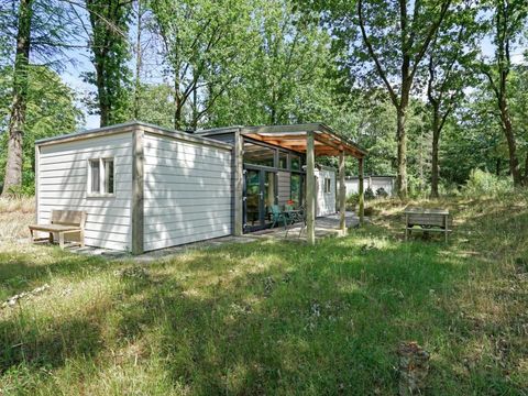 Drentse Vennen - Camping Noordenveld - Image N°13