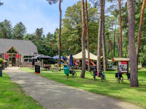 Vodatent Camping Kempen - Camping West-Vlaanderen - Afbeelding N°2