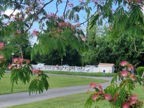 Camping Saintes Grandes Rives - Camping Charente-Maritime