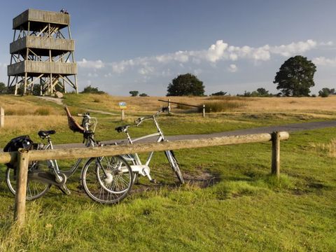 Buitenplaats de Hildenberg - Camping Ooststellingwerf - Image N°5