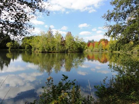 Camping Sunelia l'Etang de Sologne - Camping Loir-et-Cher - Image N°18