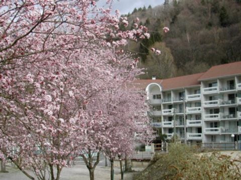 Résidence les Silènes - Camping Isère