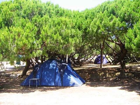 Camping Guincho - Camping Lisbon Region - Image N°13