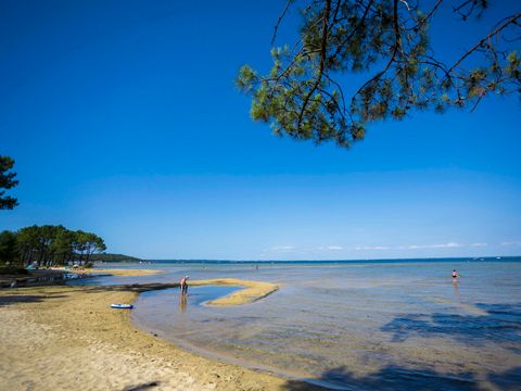 Camping Campéole Navarrosse Plage - Camping Landes - Image N°3