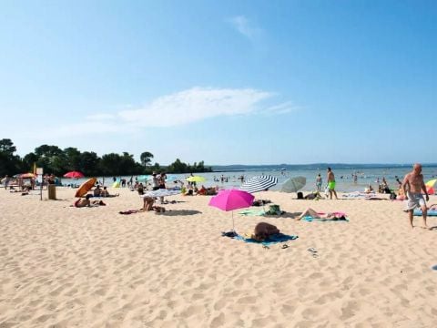 Camping Campéole Navarrosse Plage - Camping Landes - Image N°0