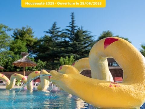 Camping Navarrosse Plage - Camping Landes - Image N°8