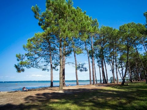 Camping Campéole Navarrosse Plage - Camping Landes - Image N°69