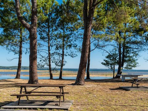 Camping Campéole Navarrosse Plage - Camping Landes - Image N°24