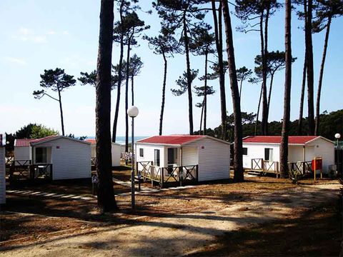 Camping Angeiras - Camping Northern Portugal - Image N°41