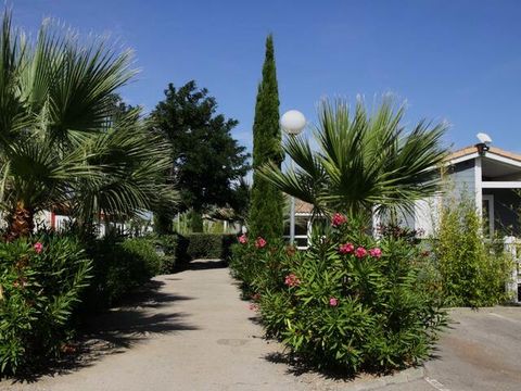 Camping Le Hameau des Cannisses  - Camping Aude - Image N°16