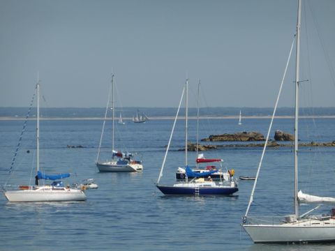 Camping La Roche Percée - Camping Finistère - Image N°38