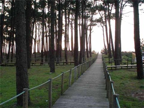 Camping Caminha - Camping Nord du Portugal - Image N°12