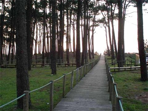 Camping Caminha - Camping Northern Portugal - Image N°16