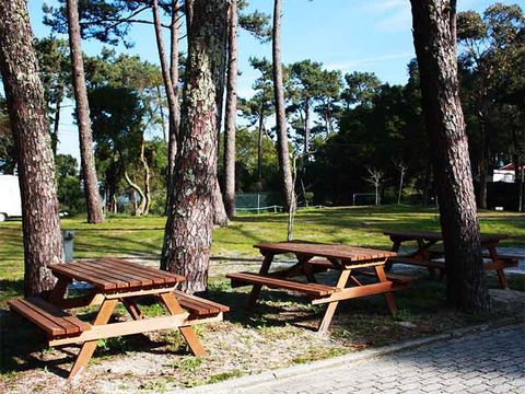 Camping Caminha - Camping Northern Portugal - Image N°6