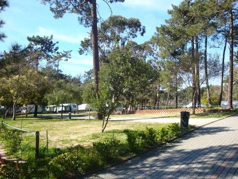 Camping Caminha - Camping Northern Portugal - Image N°13