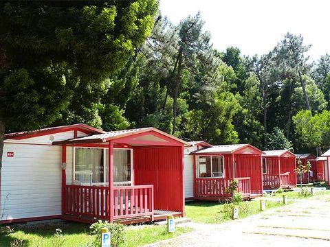 Camping Caminha - Camping Northern Portugal - Image N°18