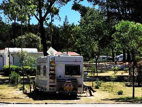 Camping Caminha - Camping Northern Portugal - Image N°19