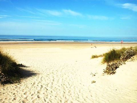 Camping Costa de Caparica - Camping Lisbon Region - Image N°29