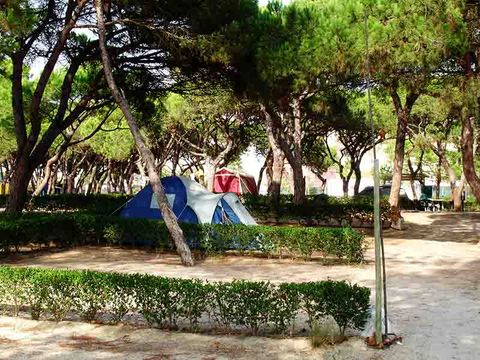 Camping Costa de Caparica - Camping Lisbon Region - Image N°32