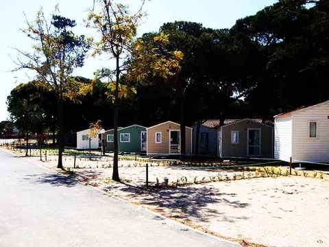 Camping Costa de Caparica - Camping Lisbon Region - Image N°33