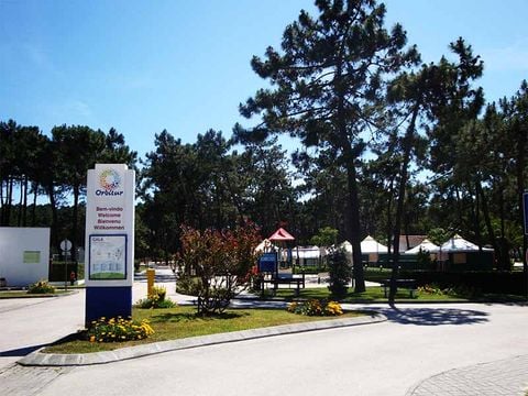 Camping Gala - Camping Cental Portugal  - Image N°19