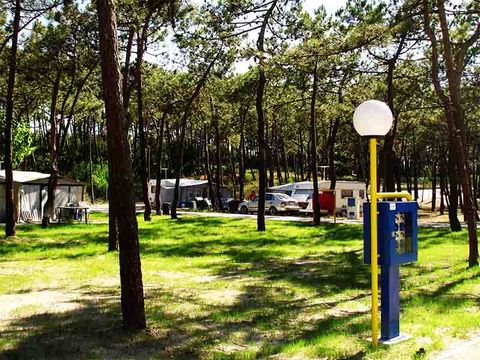 Camping Gala - Camping Cental Portugal  - Image N°31