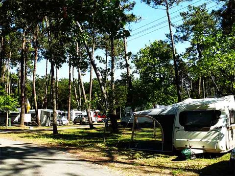 Camping Mira - Camping Cental Portugal  - Image N°29