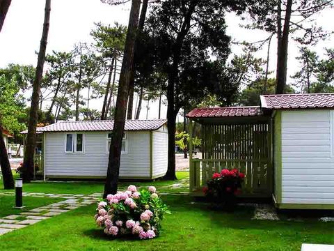 Camping Mira - Camping Cental Portugal  - Image N°28