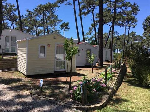 Camping Sao Pedro de Moel - Camping Lisbon Region - Image N°56