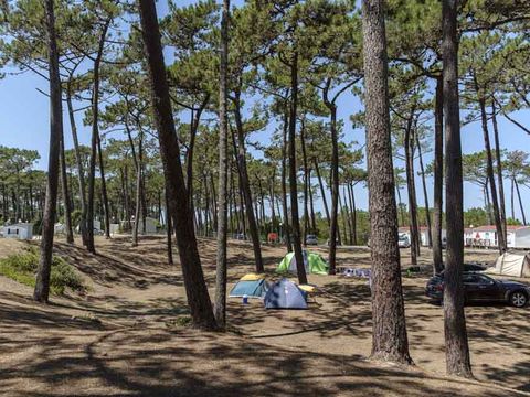 Camping Sao Pedro de Moel - Camping Lisbon Region - Image N°54