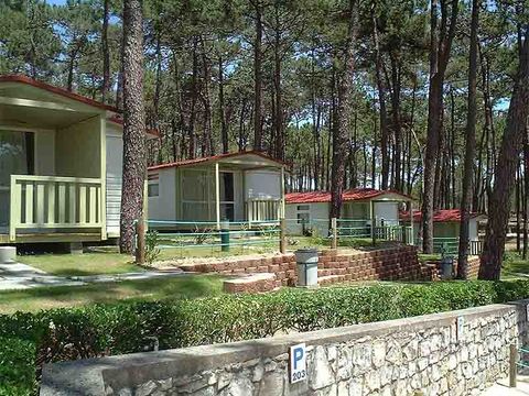 Camping Valado - Camping Cental Portugal  - Image N°24