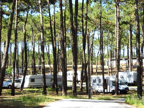 Camping Valado - Camping Cental Portugal  - Image N°25