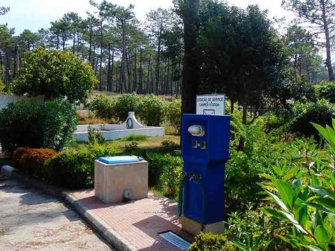 Camping Valado - Camping Cental Portugal  - Image N°26