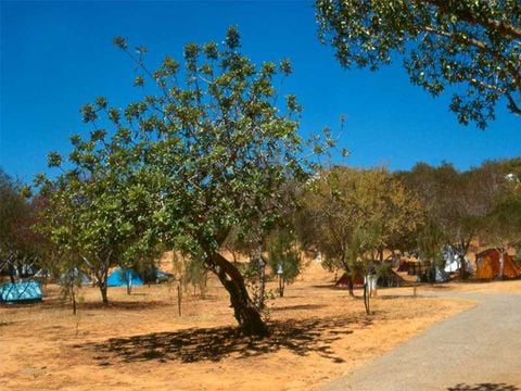 Camping Valverde - Camping Algarve - Portugal - Image N°24