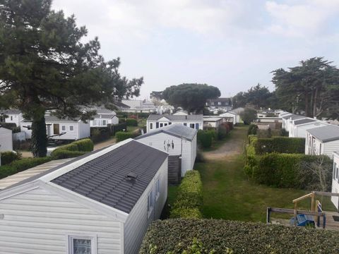 Camping Le Bois d'Amour - Camping Finistère - Image N°8