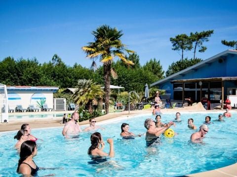 Camping maeva Escapades l'Arbre d'Or - Camping Landes - Image N°2