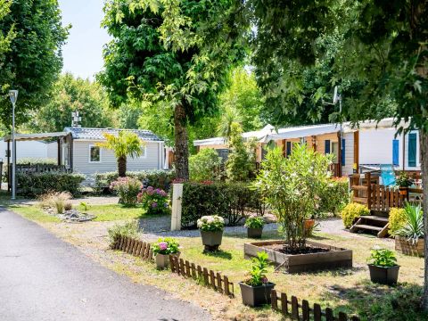 Camping Maeva Club l'Arbre d'Or  - Camping Landes - Image N°98