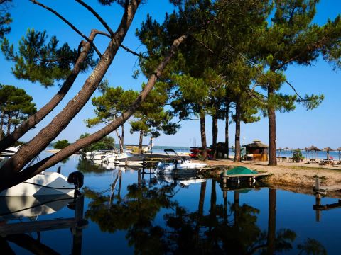 Camping Maeva Club l'Arbre d'Or  - Camping Landes - Image N°69