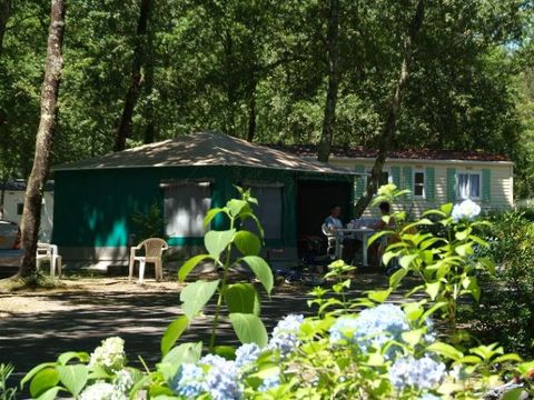 BUNGALOW TOILÉ 4 personnes - Caraïbes (sans sanitaires)