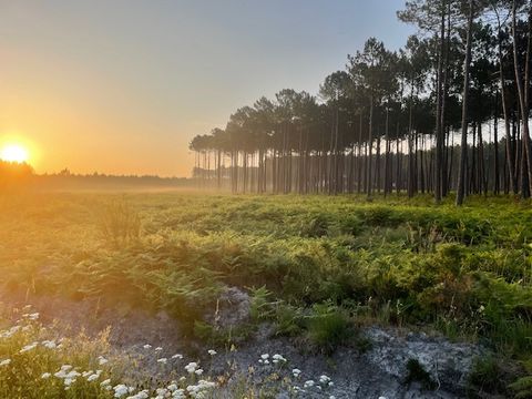 Camping Ushuaïa Villages La Maïade - Camping Landes - Image N°4