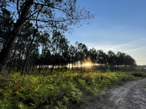 Camping Ushuaïa Villages La Maïade - Camping Landes - Image N°27