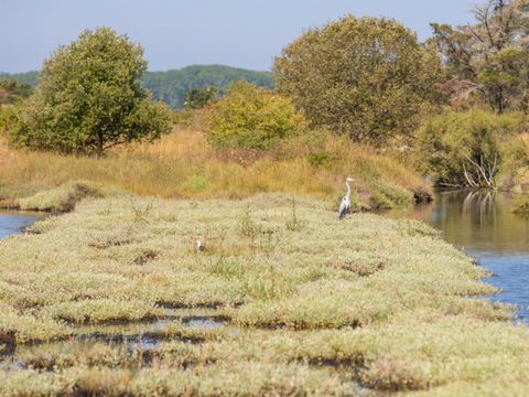 Camping Les Dunes - Camping Vendée - Image N°40